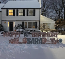 Load image into Gallery viewer, 'Olivia' Rose Gold Birthday Theme