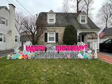 Load image into Gallery viewer, &#39;Charlotte&#39; Hot Pink Birthday Tie Dye Theme
