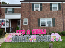 Load image into Gallery viewer, Welcome ITS A GIRL Theme
